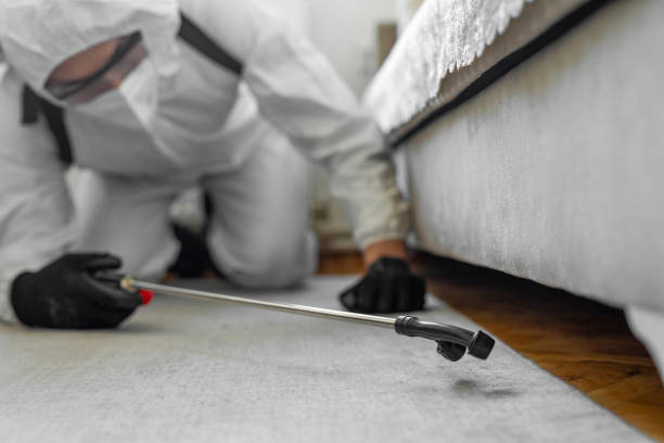 Professional Bed Bug Control technician working in Jim Wells County County, TX